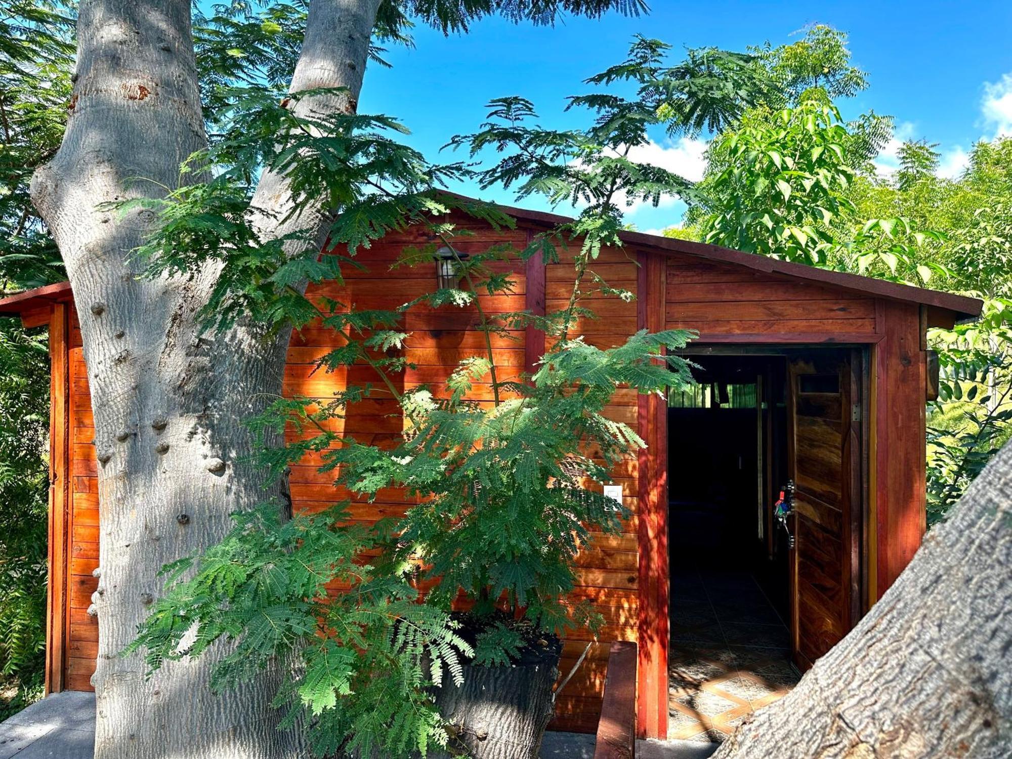 Casa Paraiso Centro Ecoturistico Puerto Escondido (Oaxaca) Exterior foto